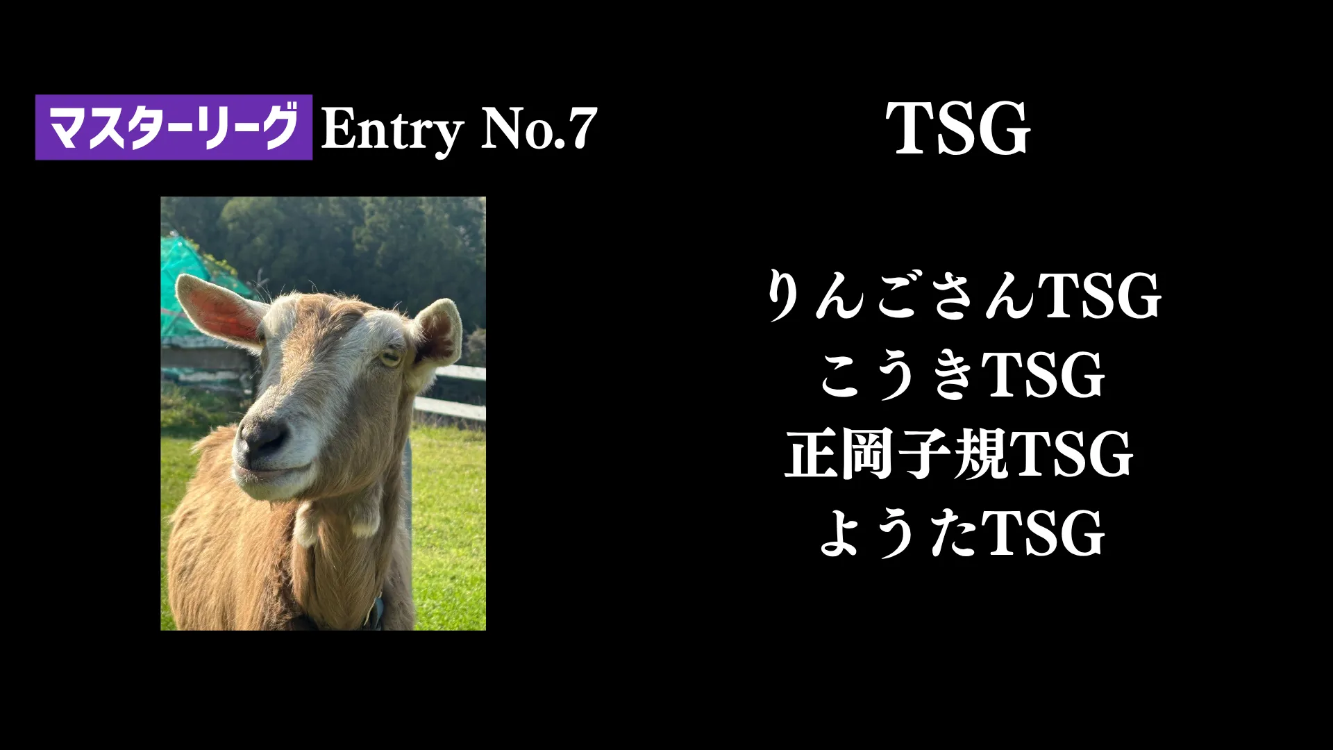 画像タイトル